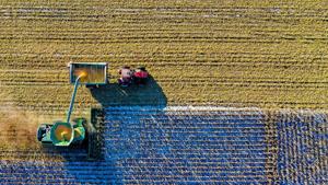 Illinois Quick Hits: Corn growers express concern as farm bill stalls