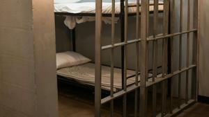 Calls increasing for heavier IDOC oversight