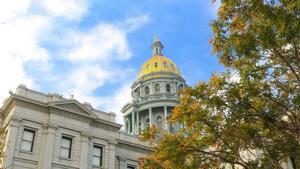 Sheriffs, NRA oppose law requiring training for gun purchases