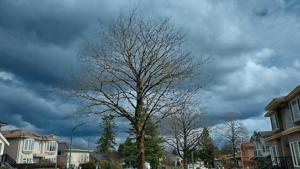 Pritzker declares 15-county disaster following storms, tornadoes
