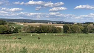 CBO: Most of E15 provision's cost is farm support payments